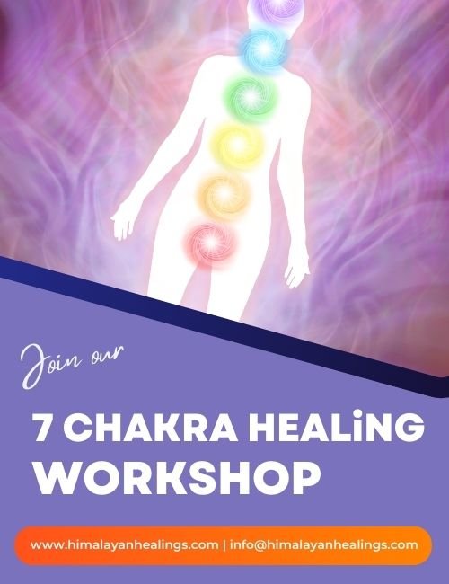 learn 7 chakra healing workshop classes course delhi ncr india all