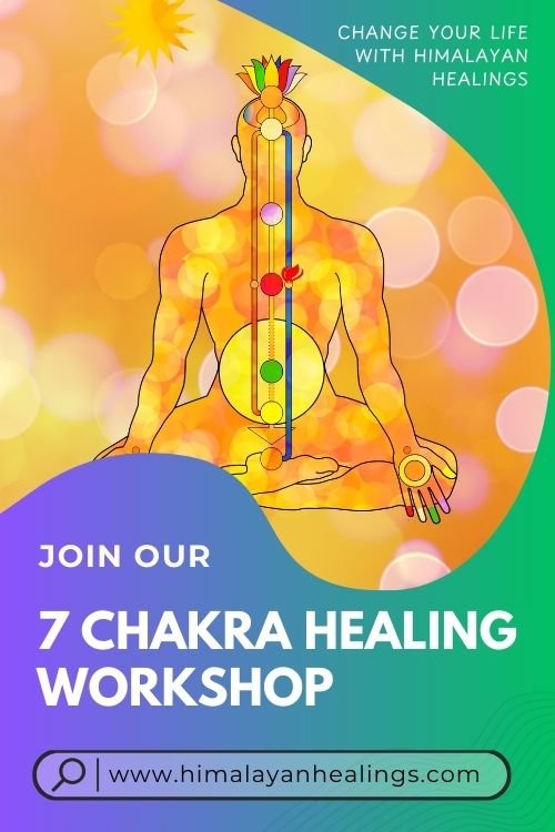 learn 7 chakra healing workshop classes course delhi ncr india